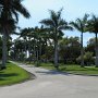 <p align=left>Palmiers royaux de Floride, ce qui donne des allées majestueuses. Ici, une rue à Clewiston.